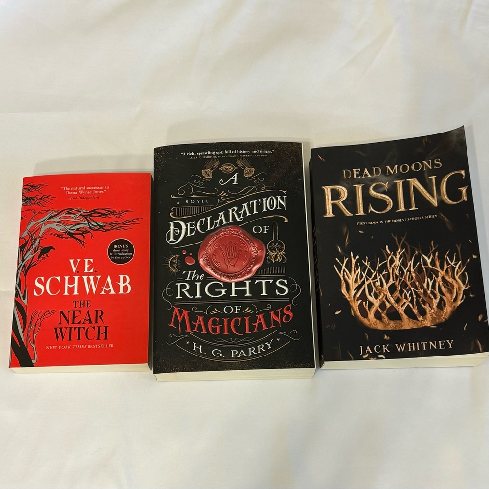Fantasy Book Haul V E Schwab the Near Witch A Declaration of Rights of Magicians